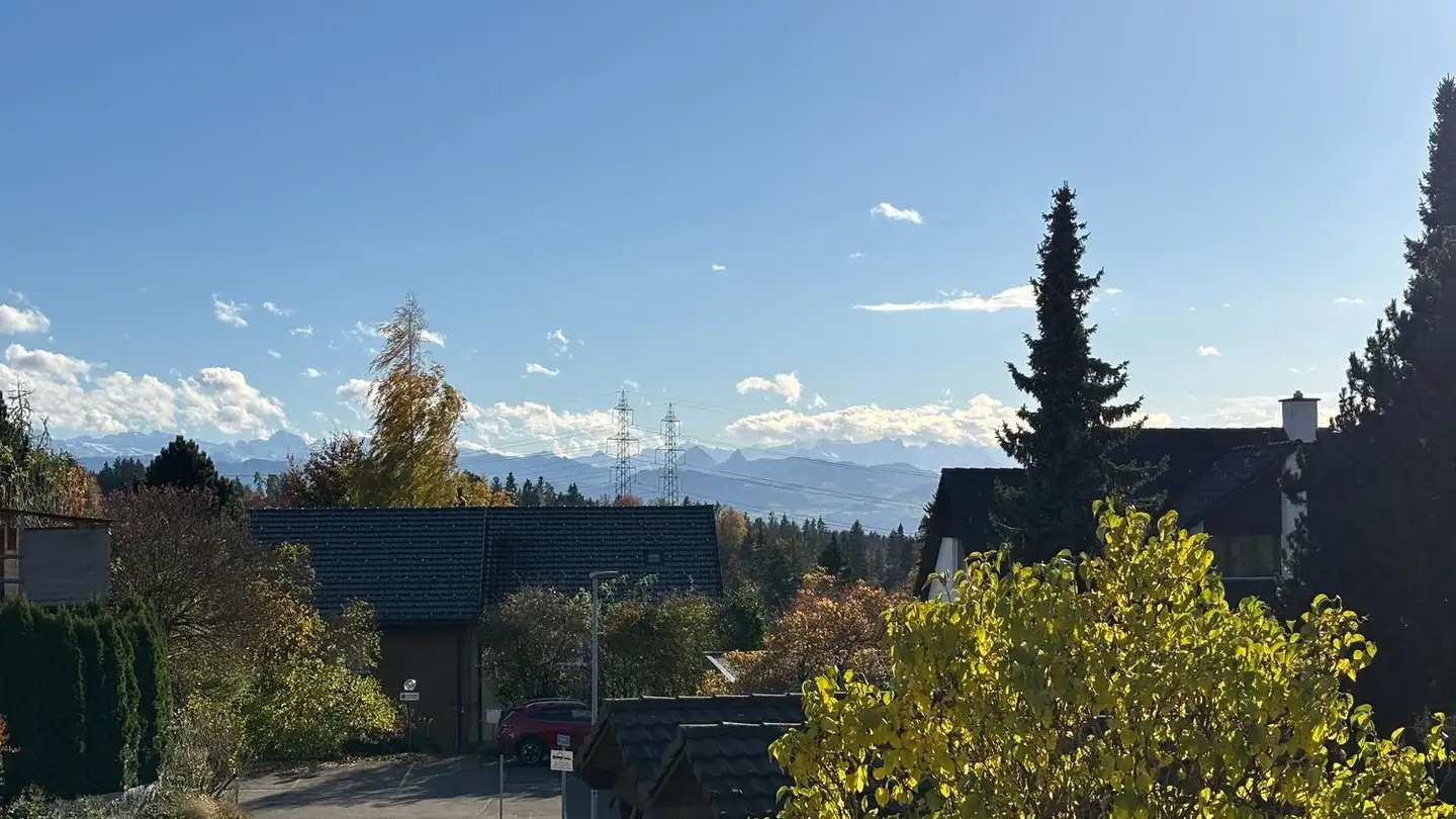 Appartement à vendre - Frowiesstrasse 2, 8345 Adetswil