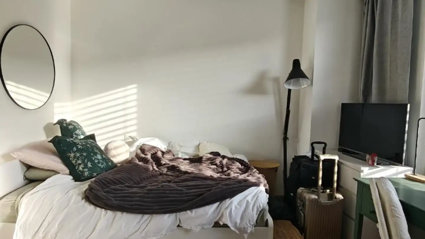 Studio for rent - Rue Du Commerce 3, 1204 Genève - Photo 2