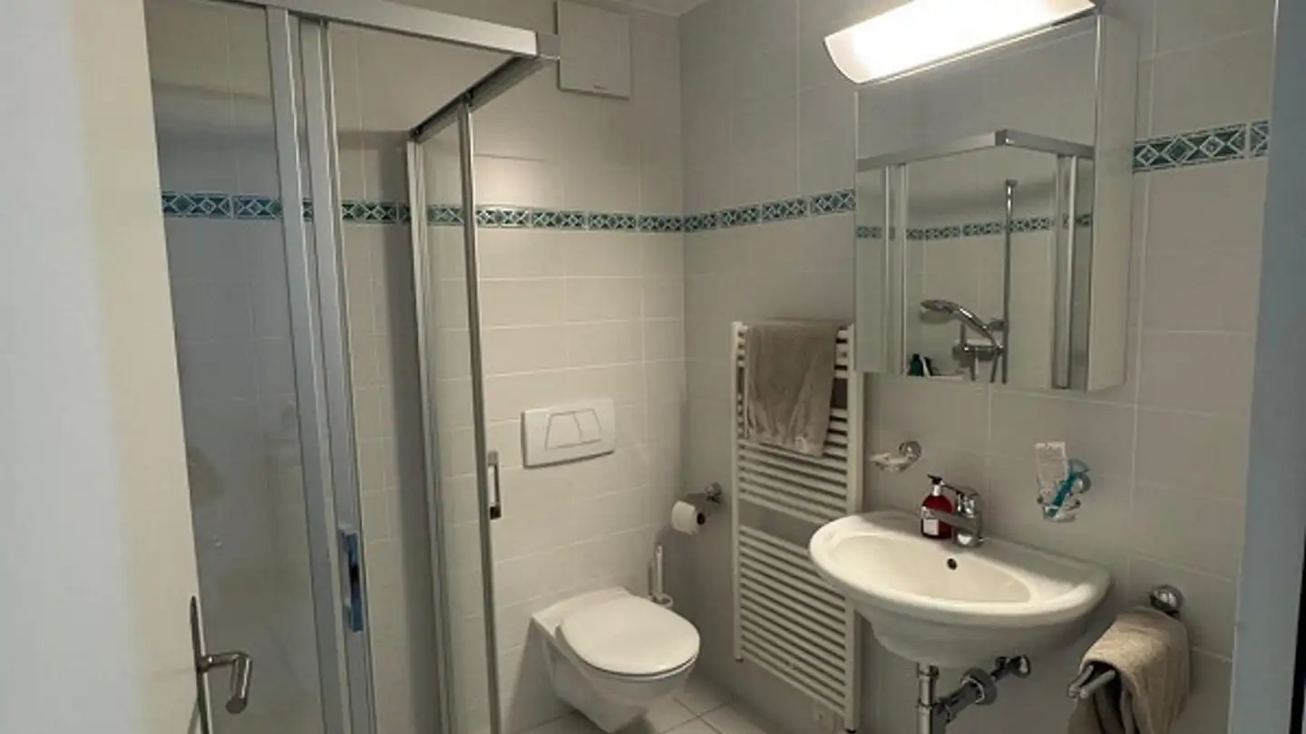 Appartamento in affitto - Boldernstrasse 23, 8708 Männedorf - Foto 3