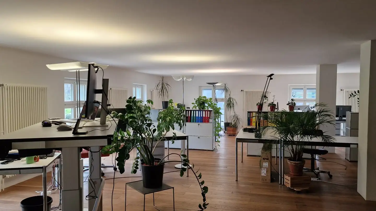 Bürofläche mieten - General-Wille-Strasse 59, 8706 Meilen - Foto 2