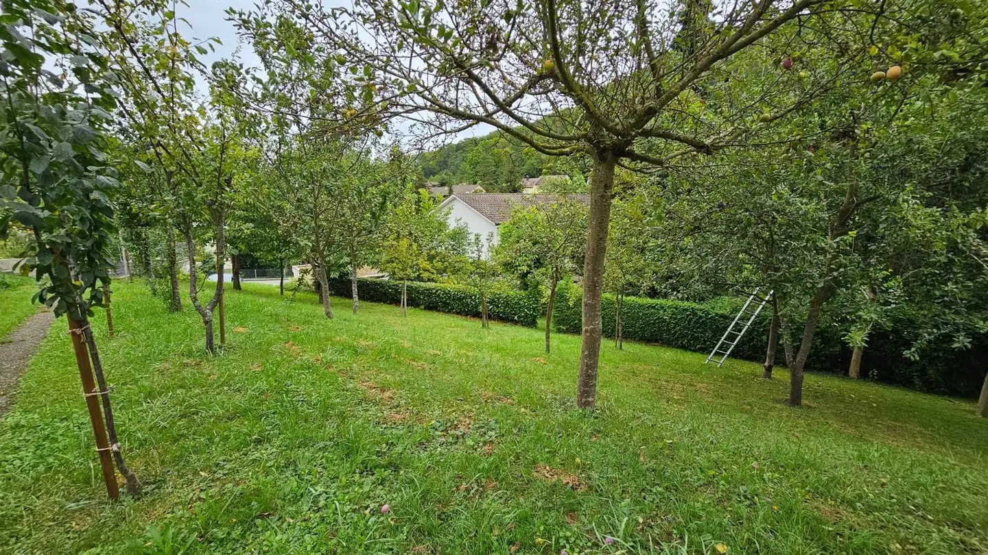 Maison individuelle à vendre - Schulweg 3, 4112 Flüh - Photo 4