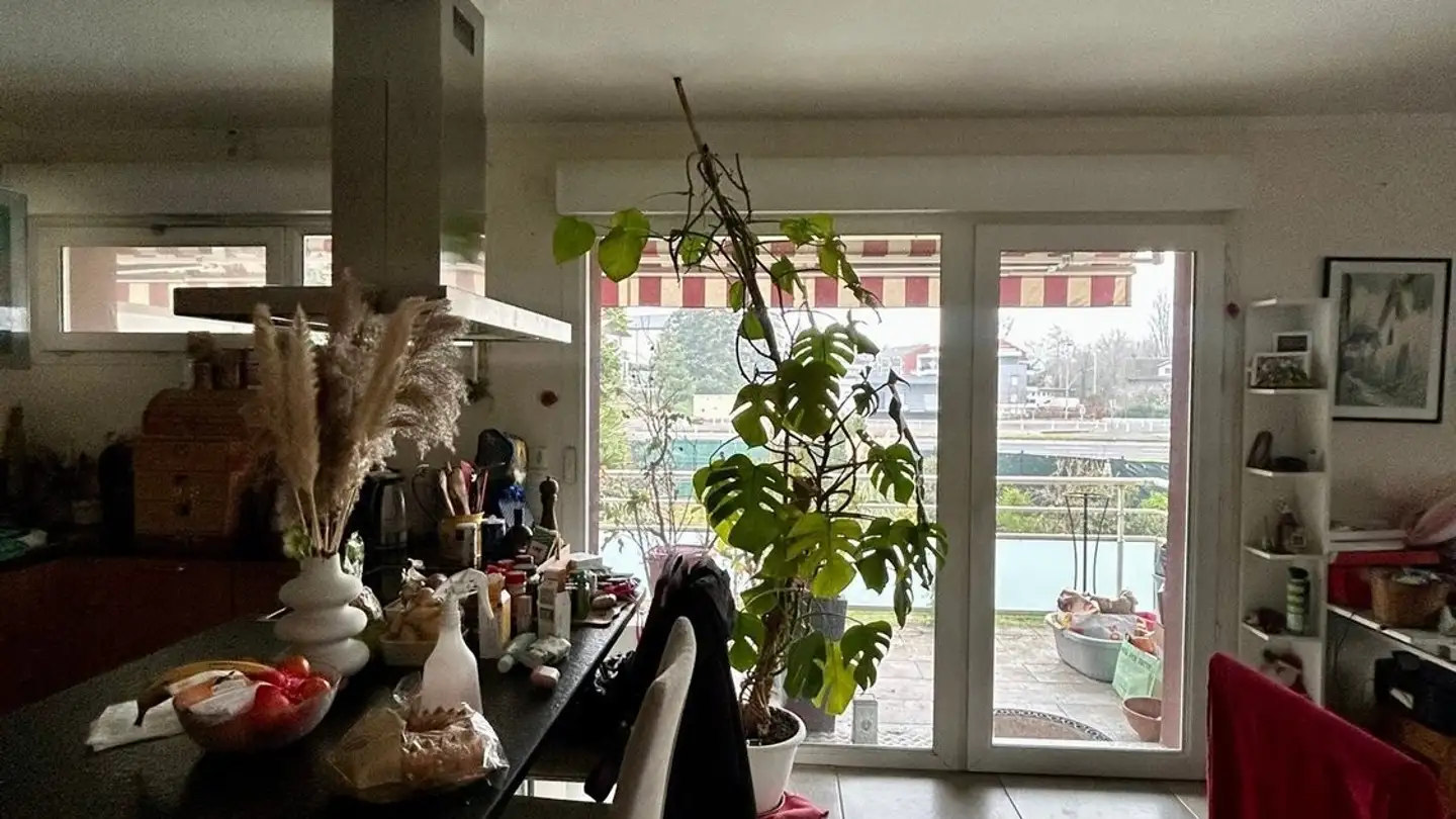 Stanza singola in affitto - 1225 Chêne-Bourg - Foto 4