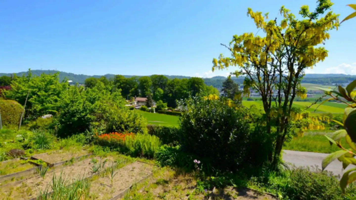 Appartamento in affitto - Lüttenbergstrasse 22, 8906 Bonstetten - Foto 2