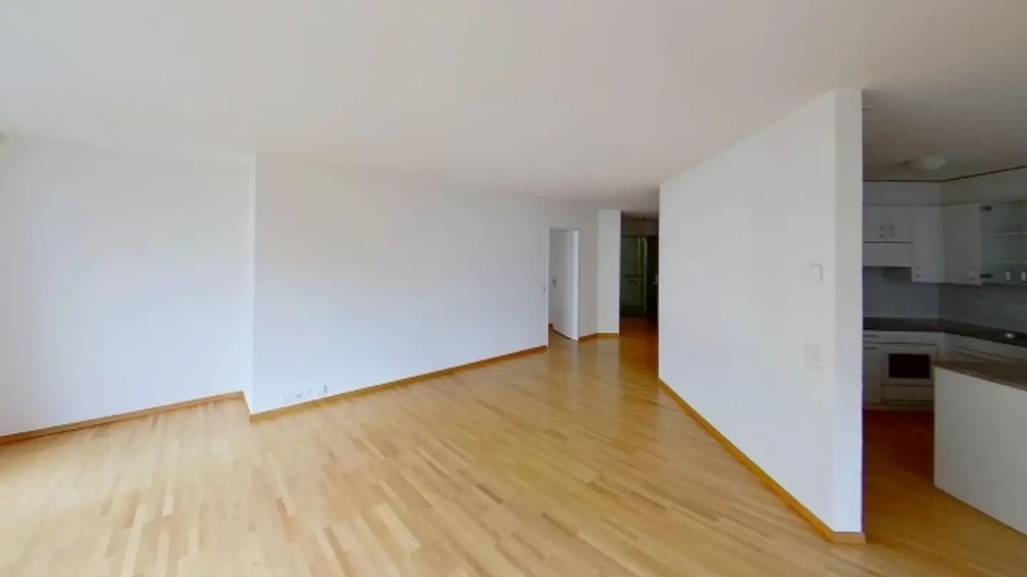 Appartamento in affitto - Im Tiergarten 25, 8055 Zürich - Foto 3