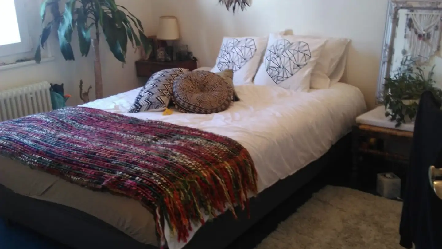 Chambre à louer - Chemin De Grande-Rive 1, 1007 Lausanne - Photo 3