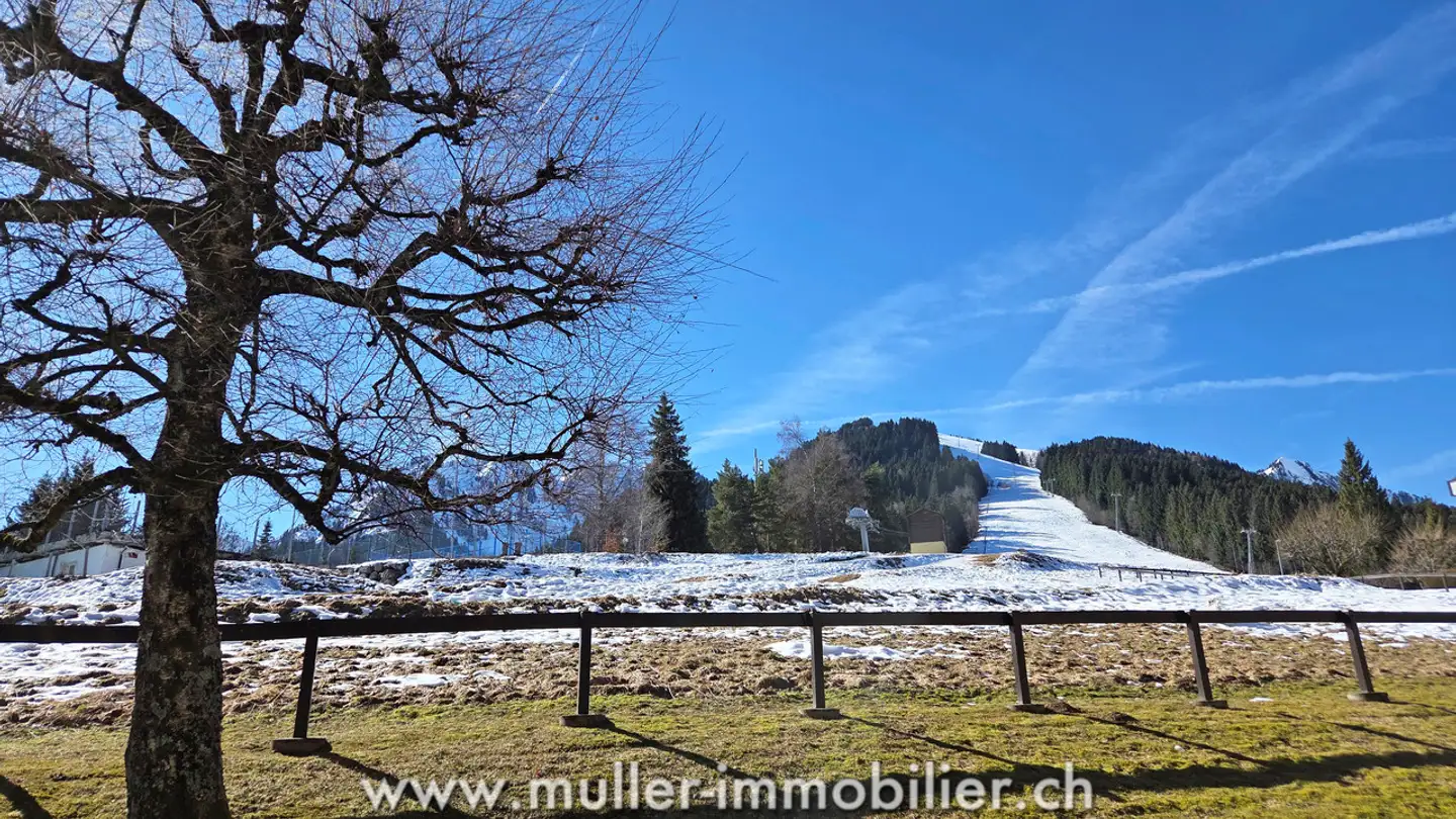 Appartement à vendre - Route De La Jorette 60, 1899 Torgon