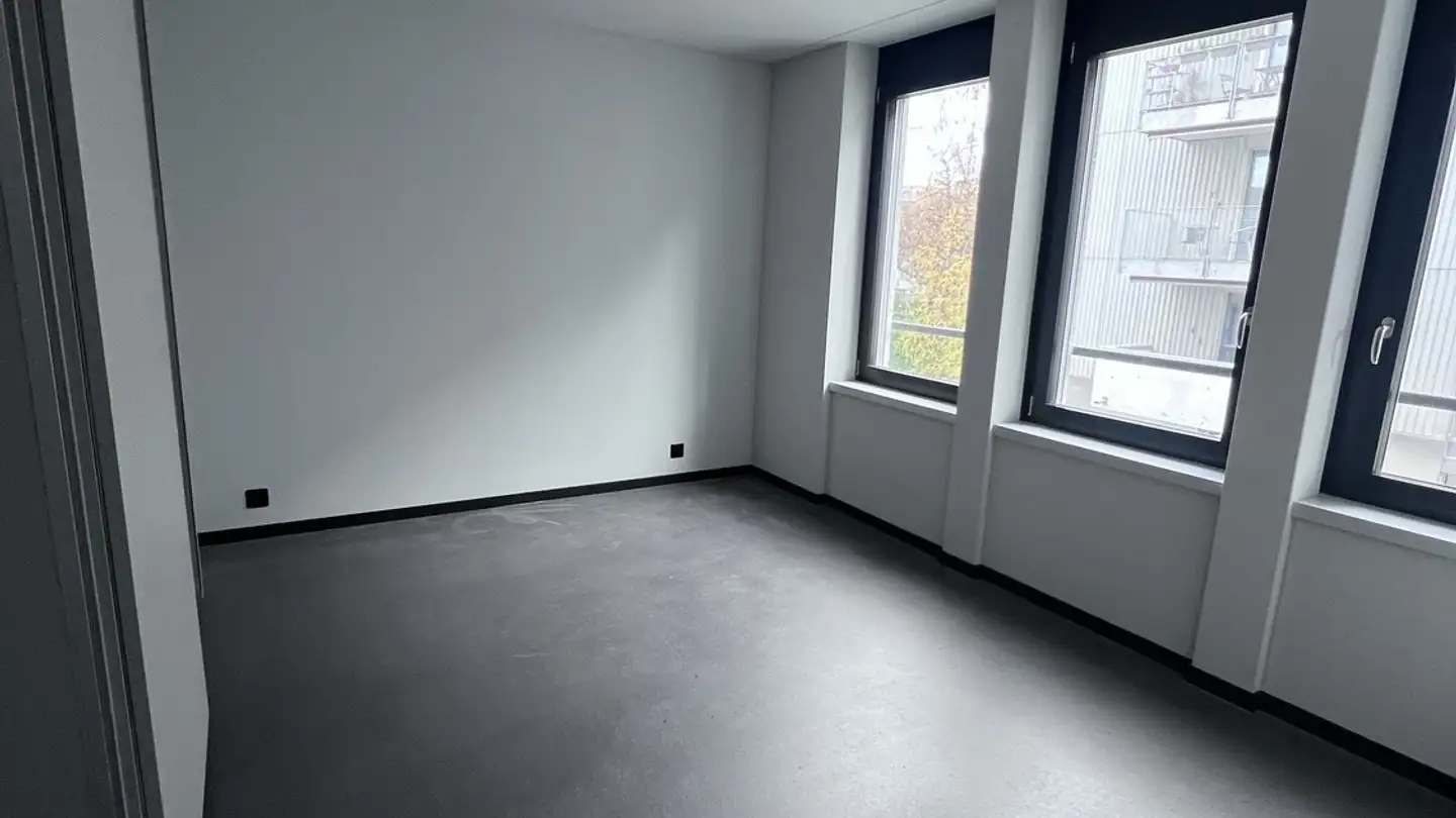 Apartment for rent - Freilagerstrasse 11, 8047 Zürich - Photo 2