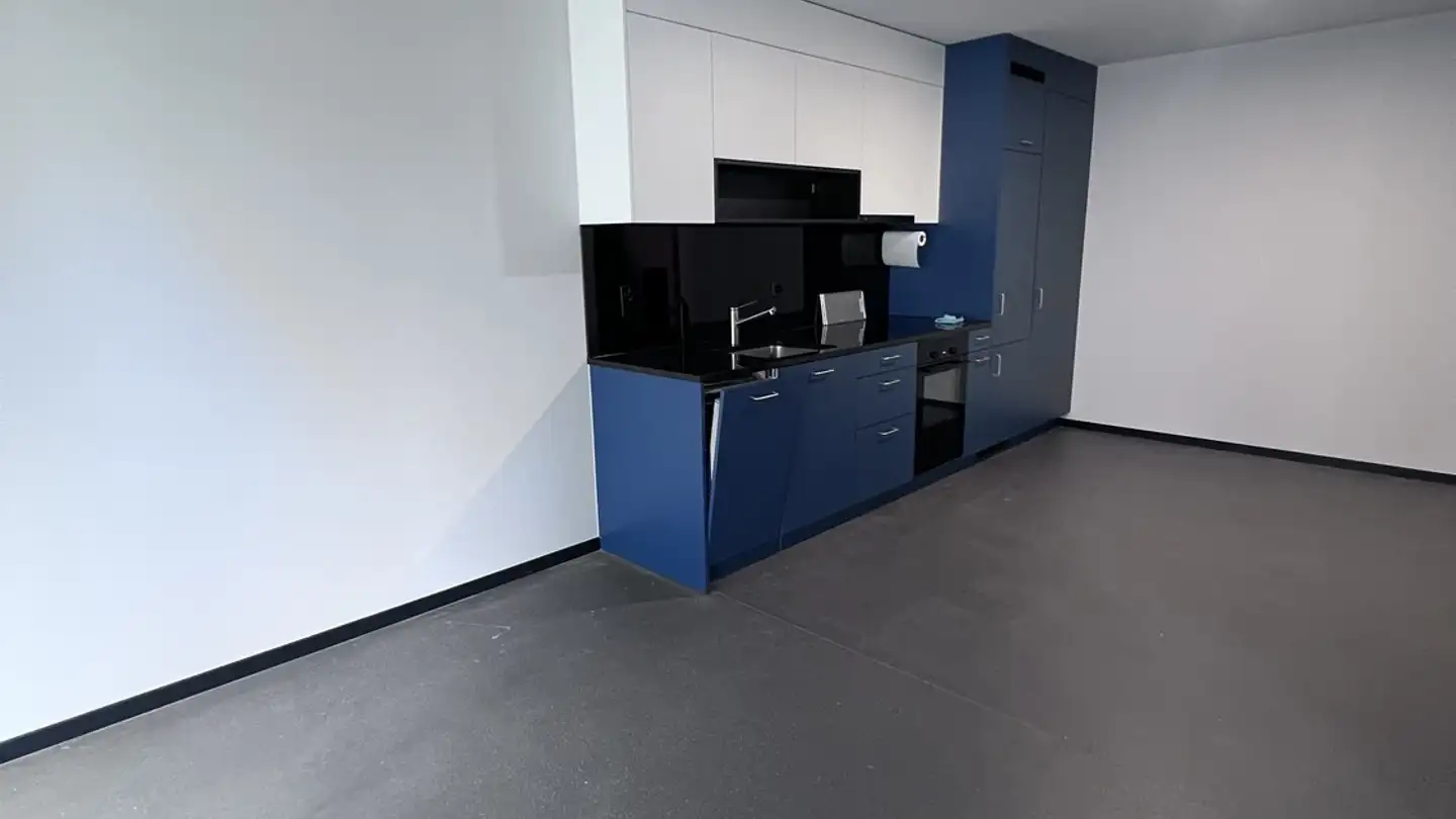 Apartment for rent - Freilagerstrasse 11, 8047 Zürich - Photo 3