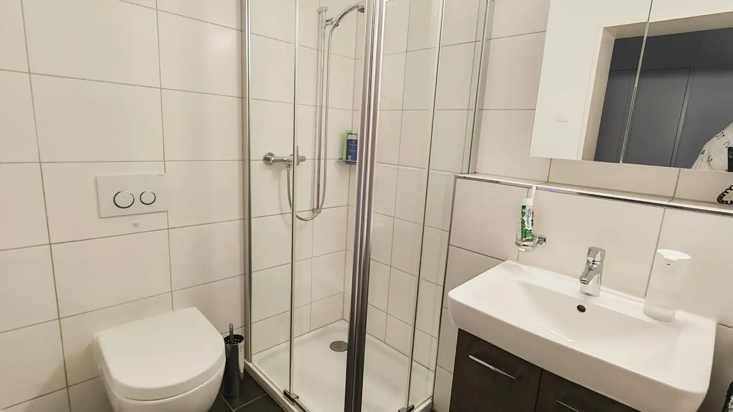 Wohnung kaufen - Escherweg, 8304 Wallisellen - Foto 2