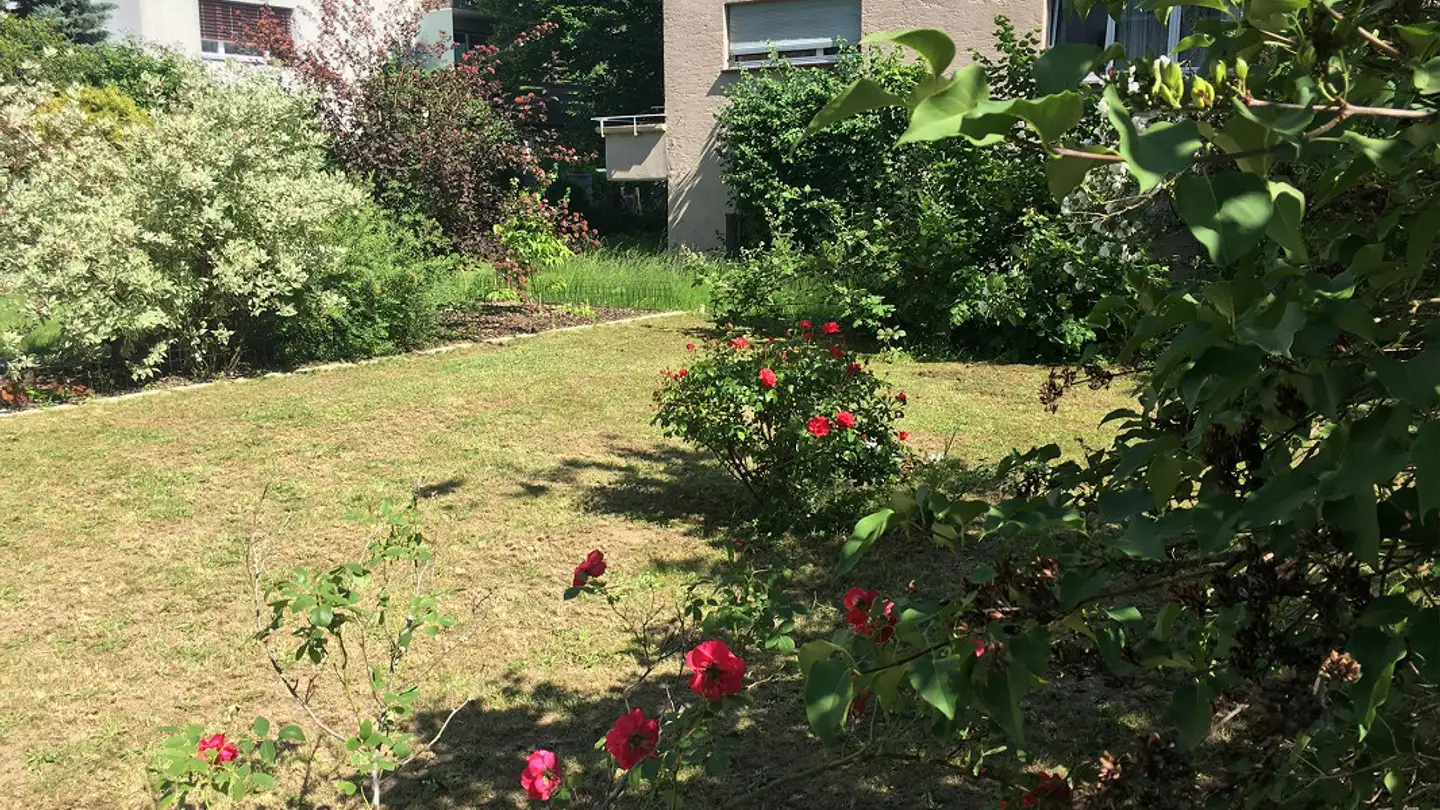 Wohnung mieten - 5430 Wettingen - Foto 4