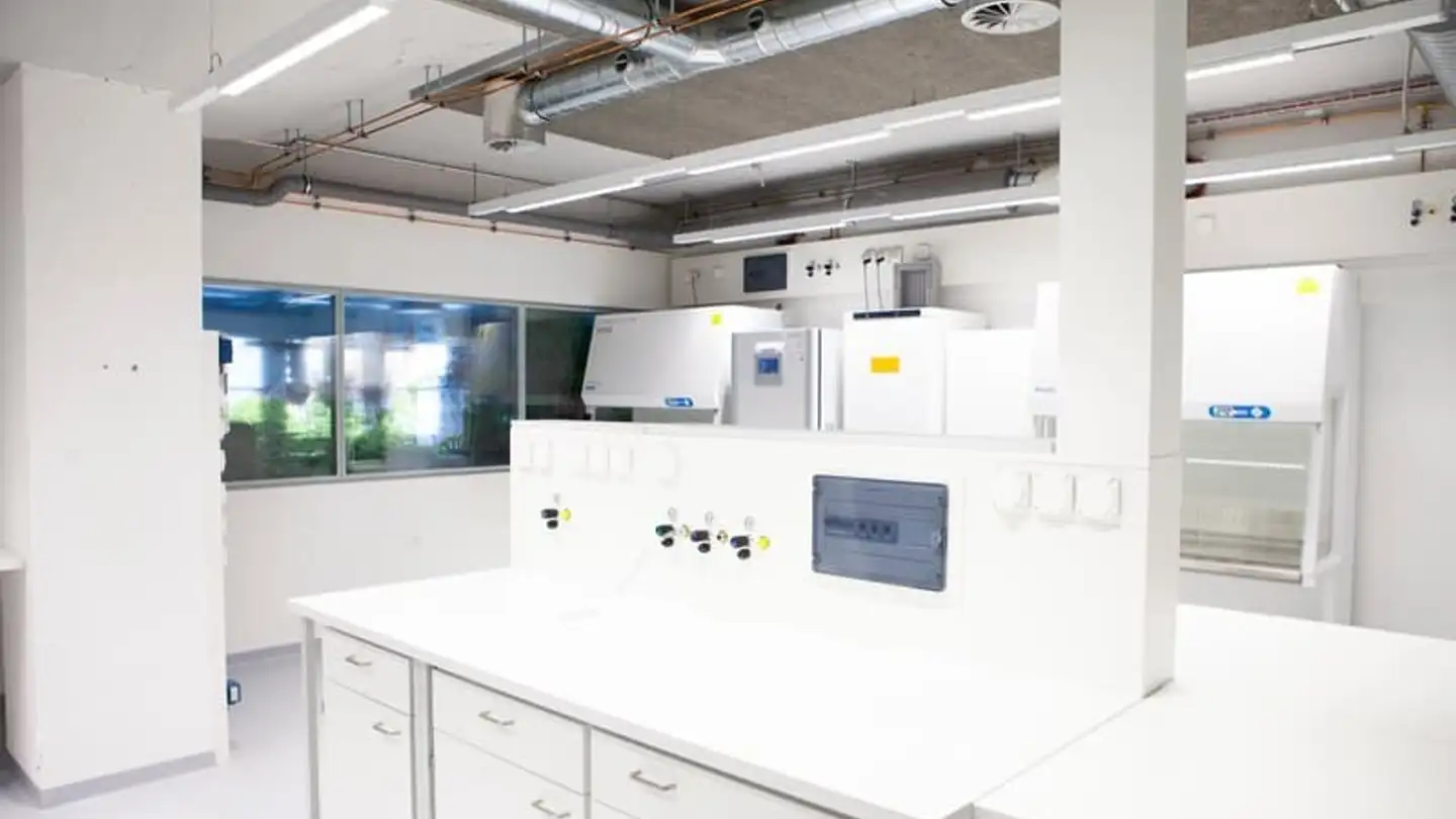 Bürofläche mieten - Hofackerstrasse 40, 4132 Muttenz