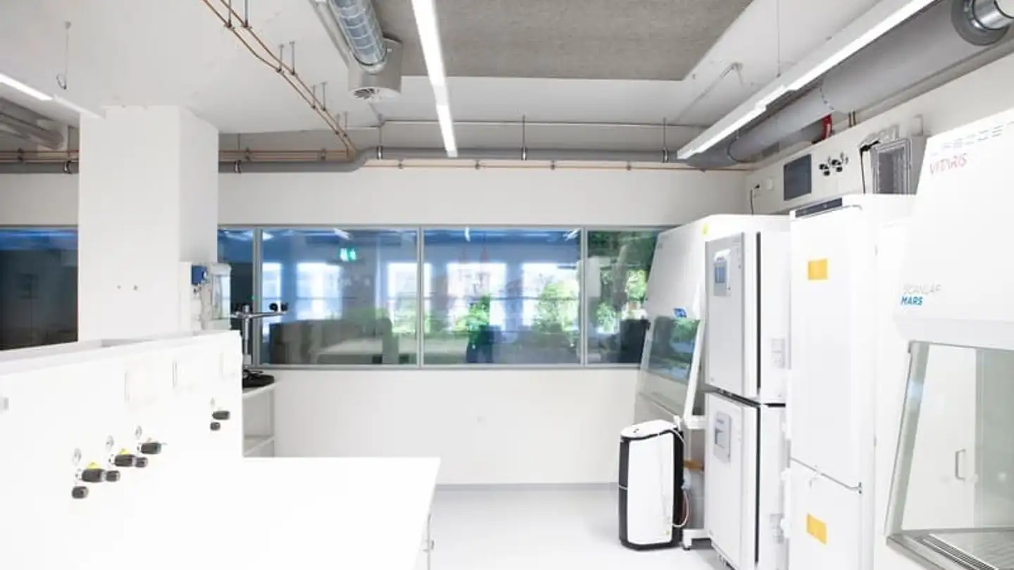 Bürofläche mieten - Hofackerstrasse 40, 4132 Muttenz - Foto 2