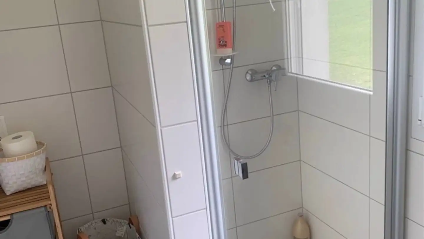 Appartamento in affitto - Route De Lessoc 17, 1666 Grandvillard - Foto 4