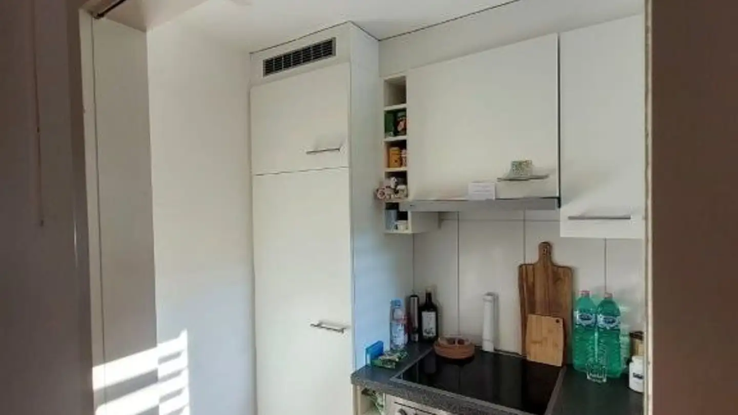 Appartement à louer - Erzgrubenweg 15, 5000 Aarau - Photo 4