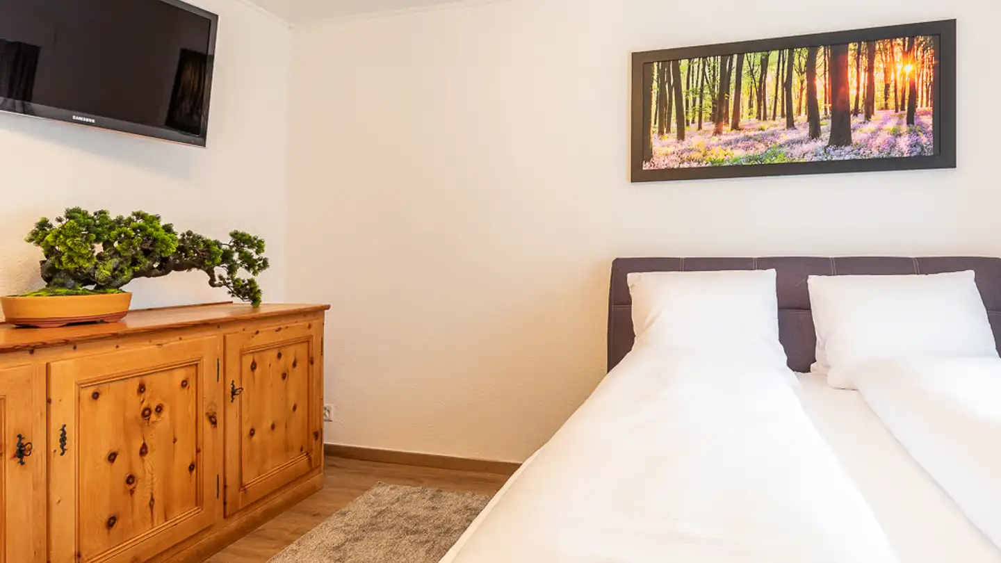 Appartement à louer - Fläscherstrasse 15, 7310 Bad Ragaz