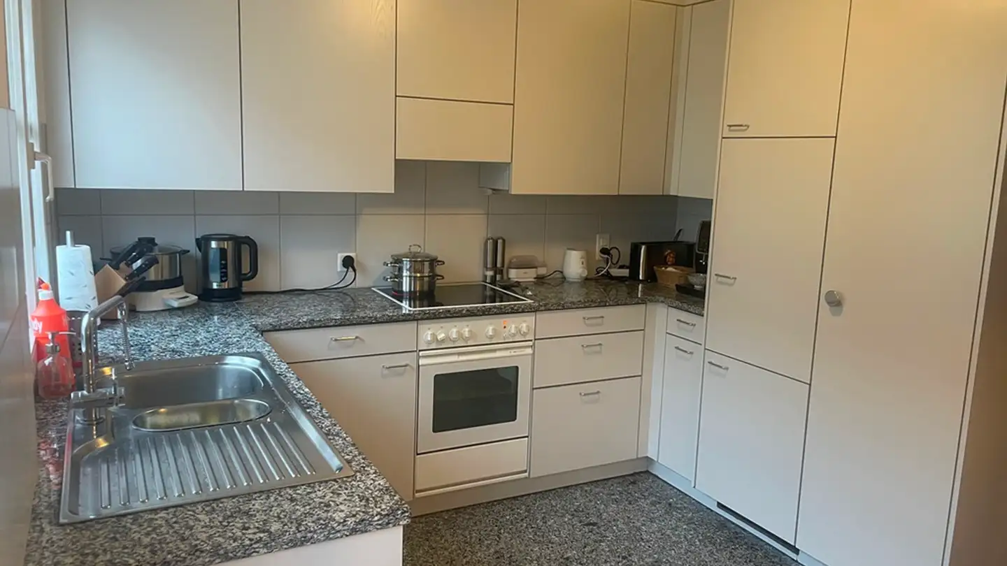 Appartement à louer - Wiesenstrasse 12, 8800 Thalwil