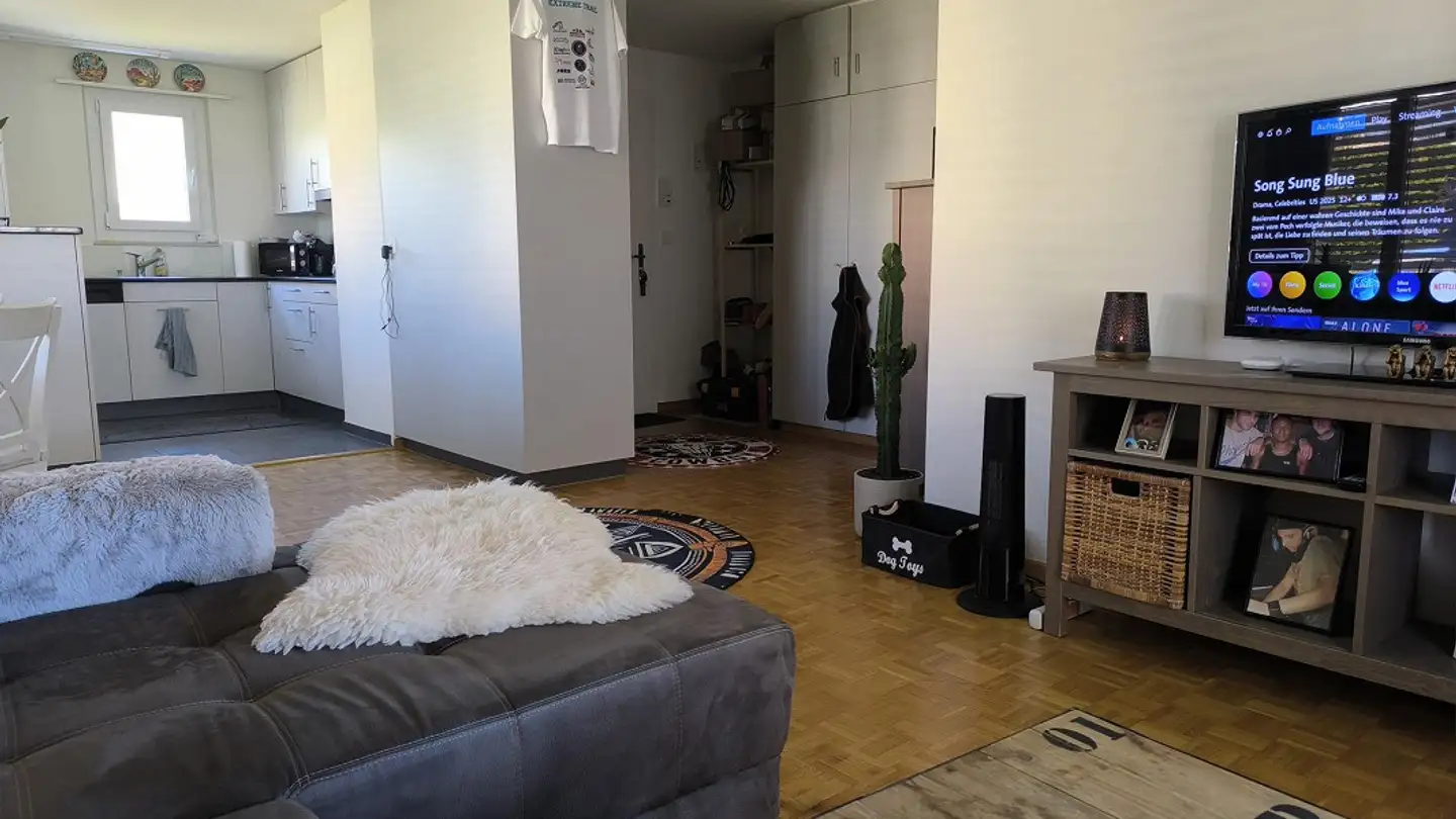 Appartement à louer - Dammstrasse 21, 6280 Hochdorf