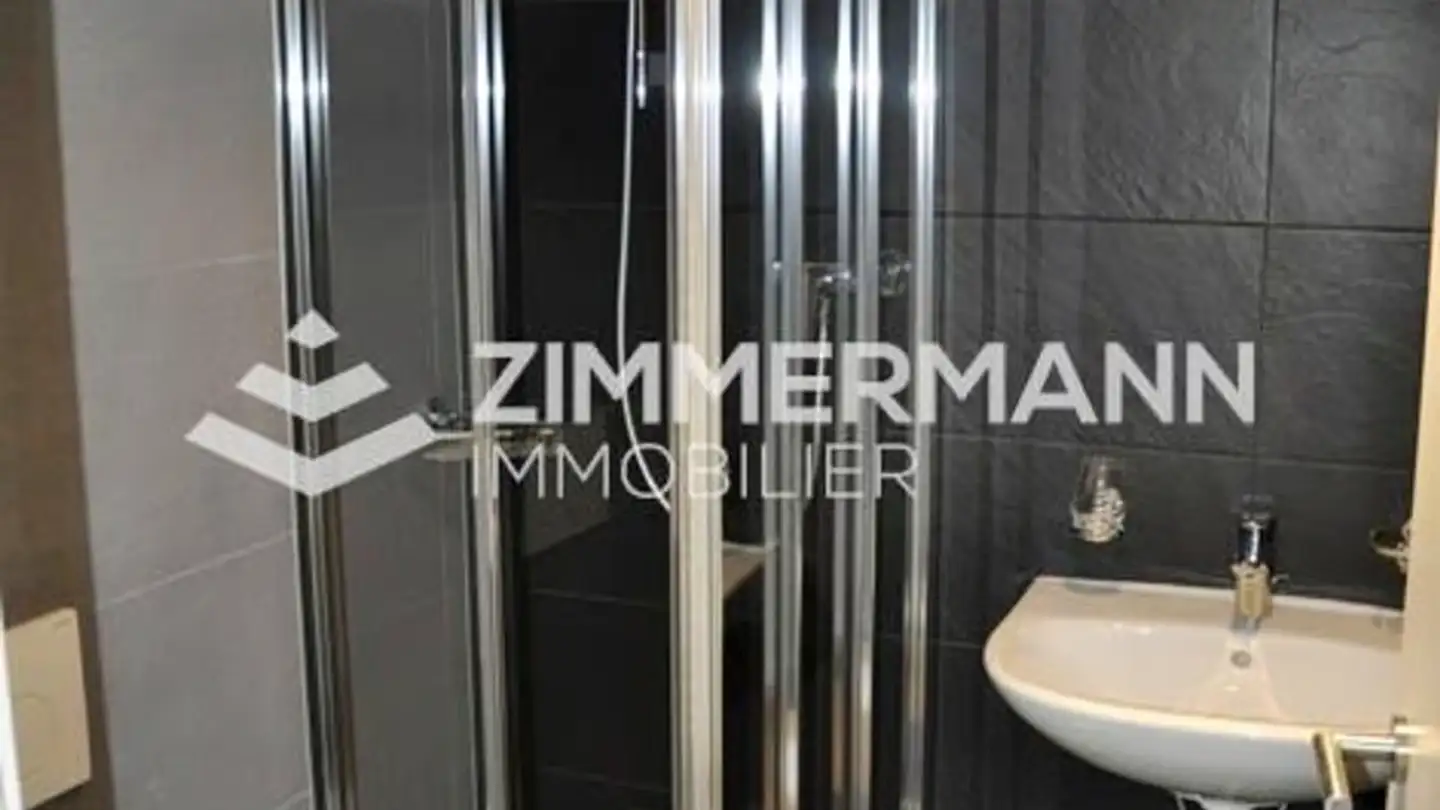 Apartment for rent - Chemin De L' Ecu, 1219 Châtelaine - Photo 4