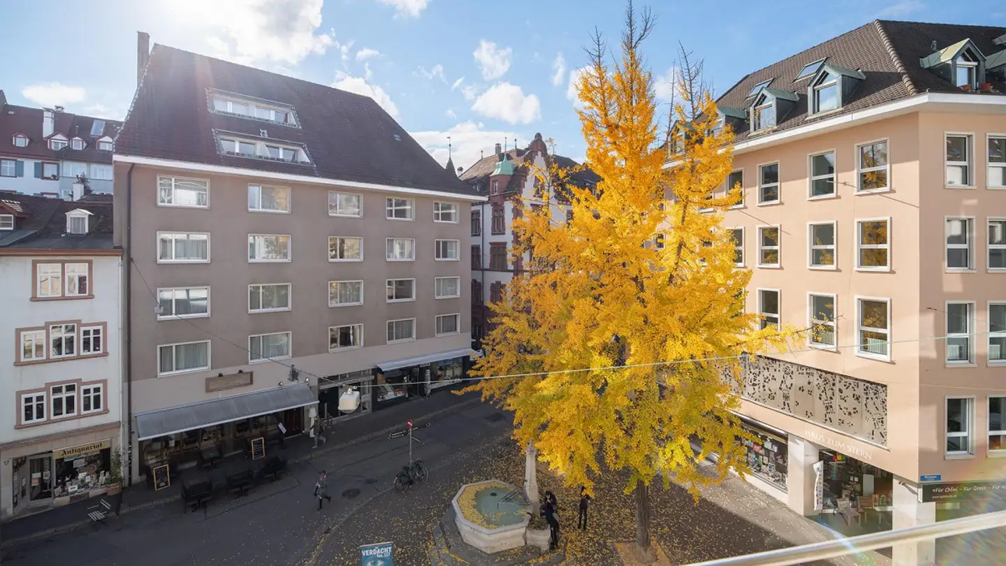 Appartamento in affitto - Gerbergasse 16, 4001 Basel