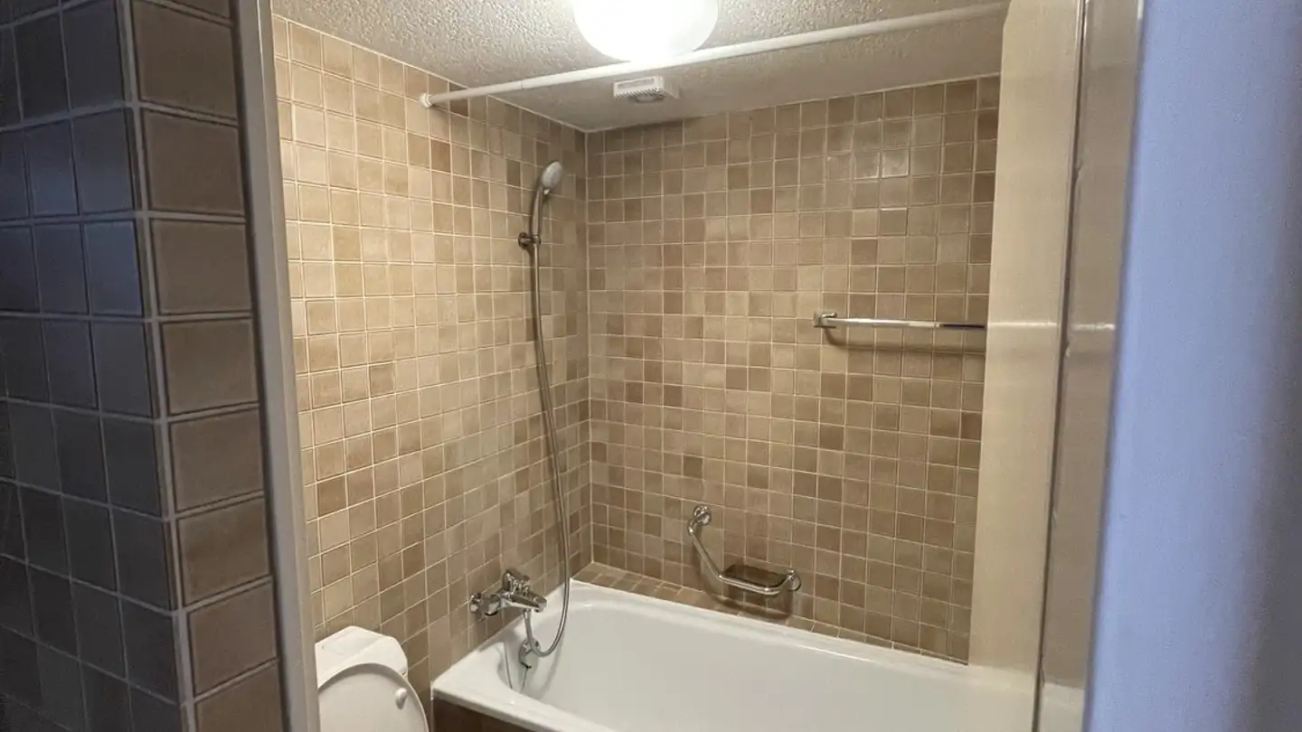 Apartment for rent - Zeughausplatz 31, 4410 Liestal - Photo 4
