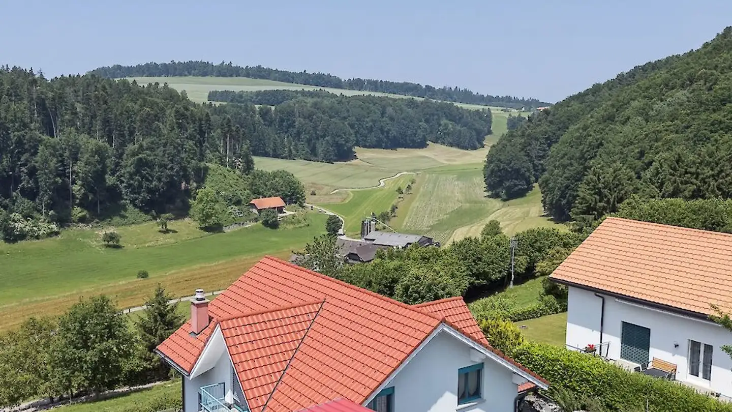 Einfamilienhaus kaufen - Grubenacher 23, 1713 St. Antoni