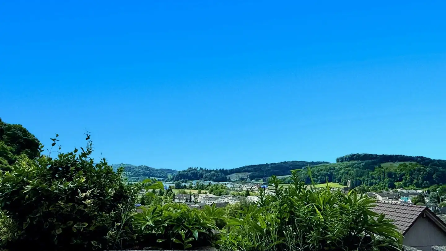 Single house for sale - Oberer Badweg 20, 5722 Gränichen - Photo 4