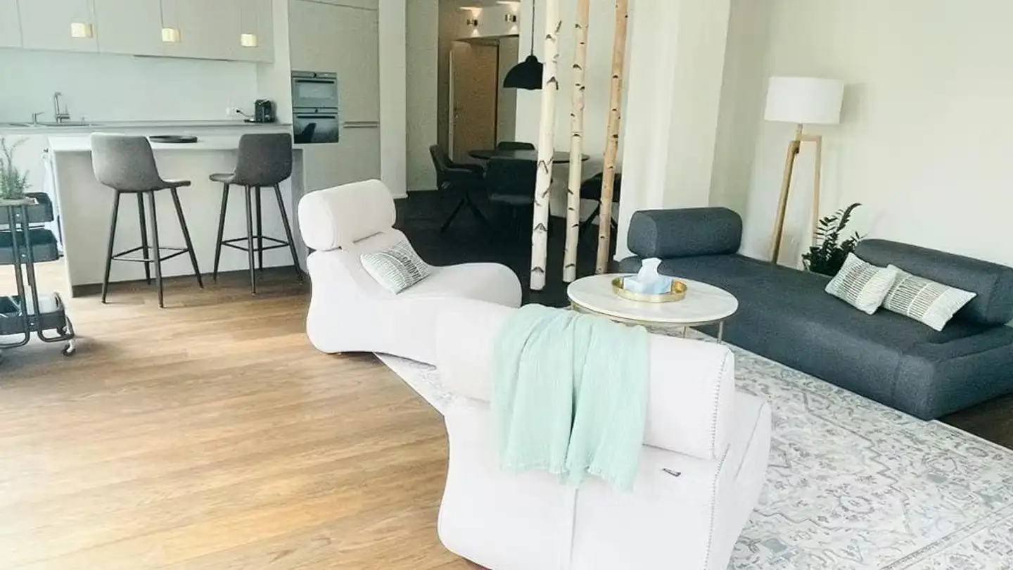 Apartment for rent - Zentralstrasse, 8003 Zürich - Photo 2