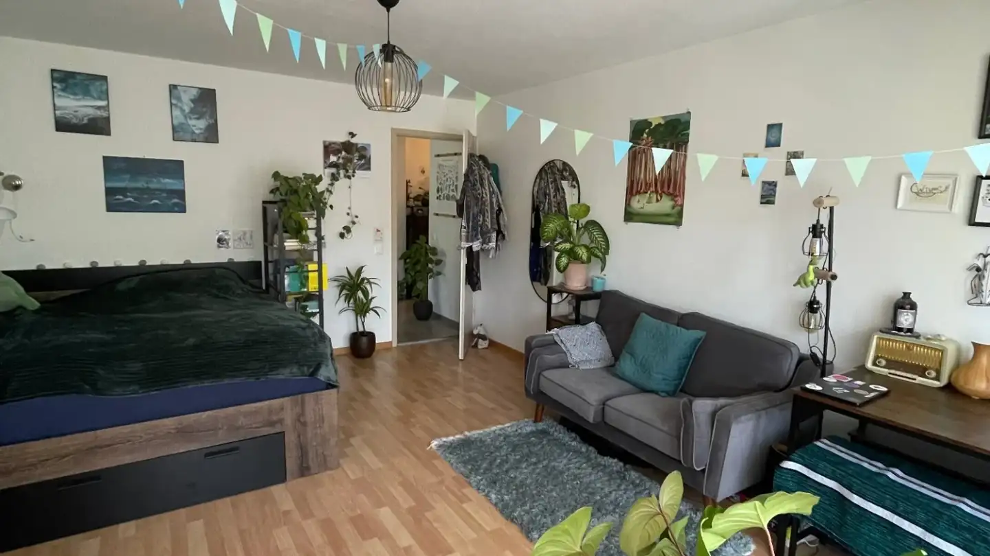 Appartamento in affitto - 5400 Baden