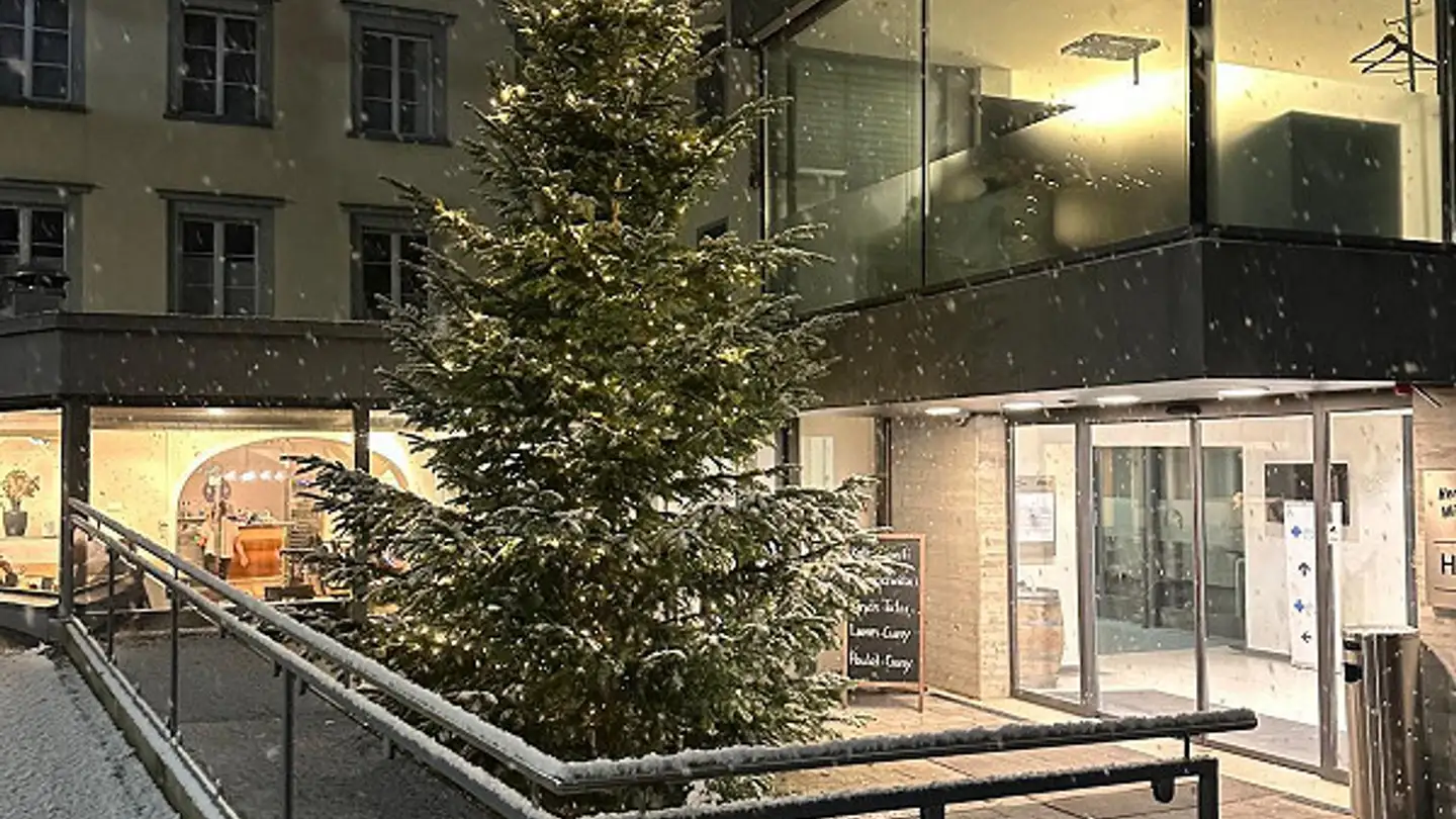 Commercial for rent - Industriestrasse 28, 9100 Herisau