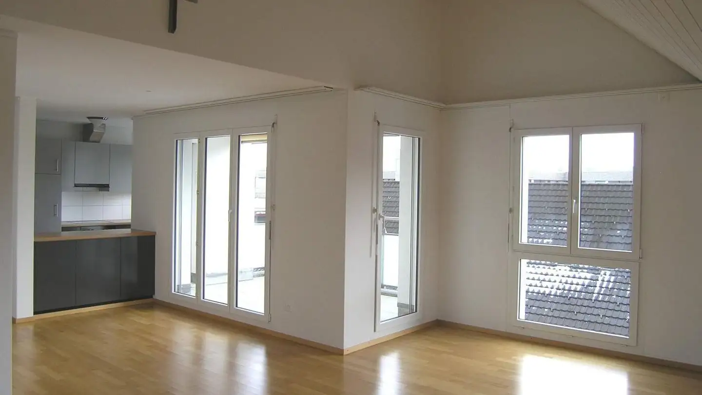 Duplex à louer - Fabrikstrasse 2, 8102 Oberengstringen - Photo 3