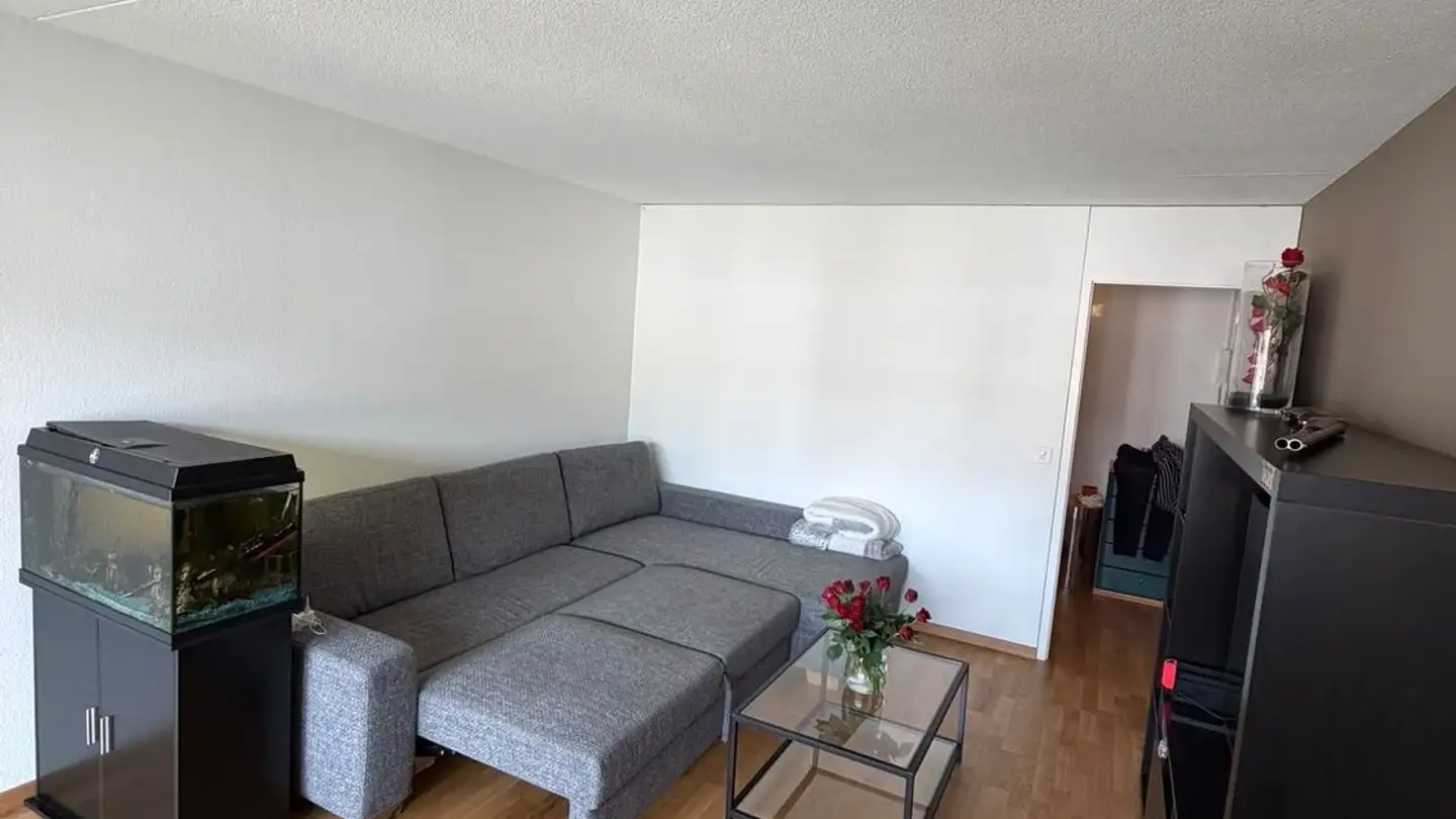 Appartamento in affitto - Dällikerstrasse 42, 8105 Regensdorf
