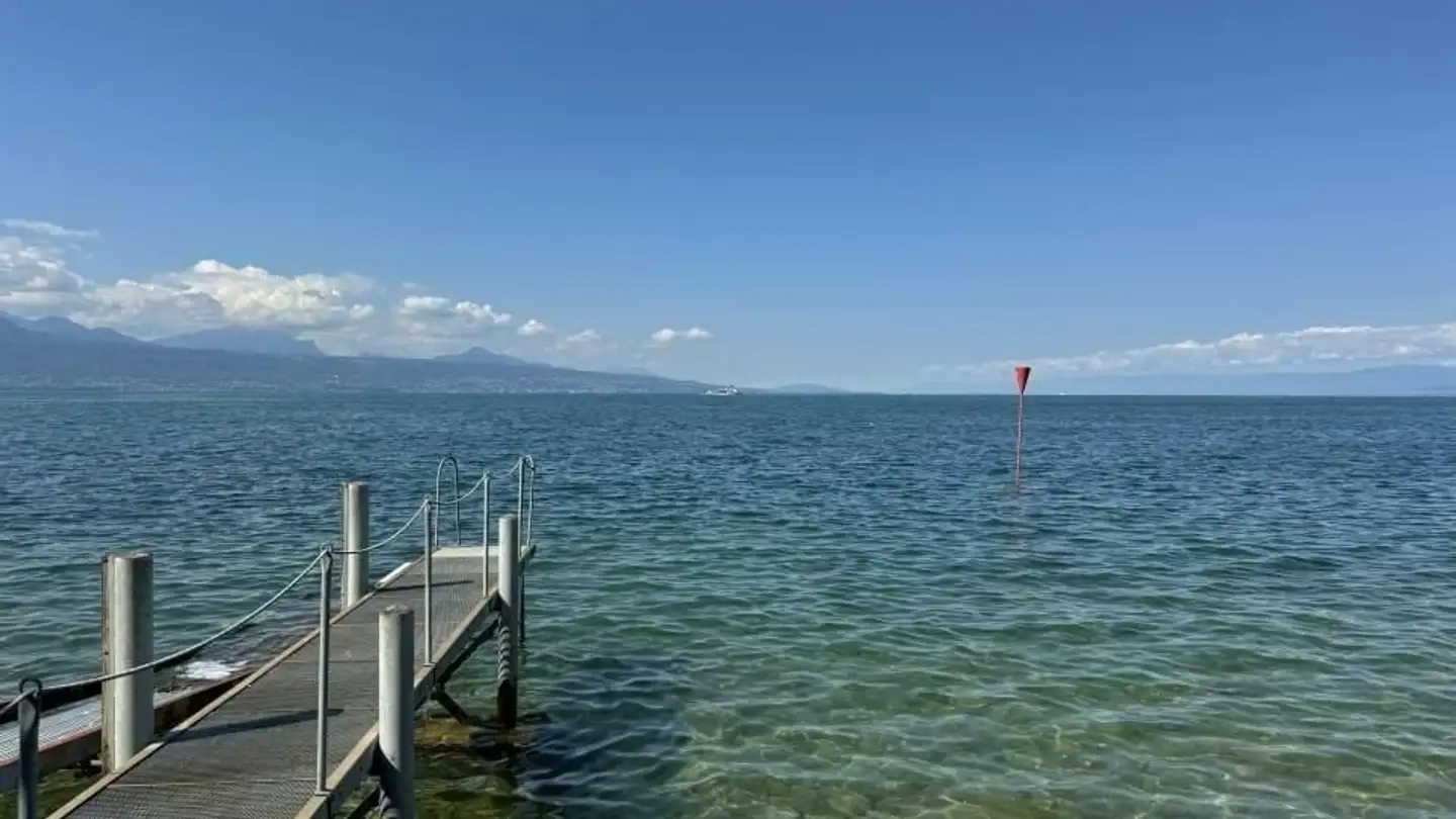 Single house for rent - 1096 Cully - Photo 2