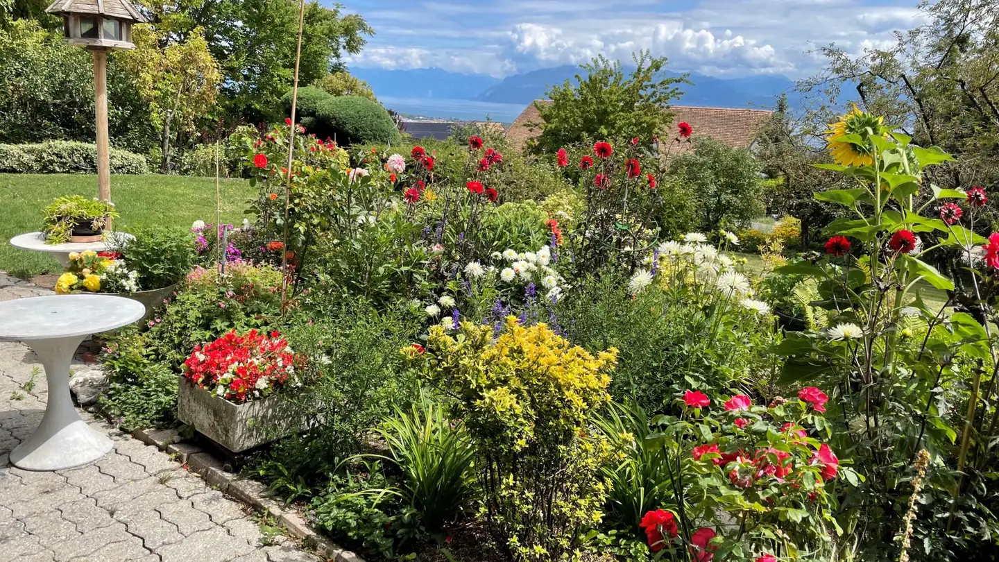 Single house for rent - 1180 Rolle - Photo 3