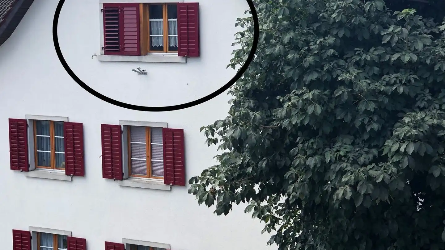 Attique à louer - Zürcherstrasse 26, 8104 Weiningen ZH