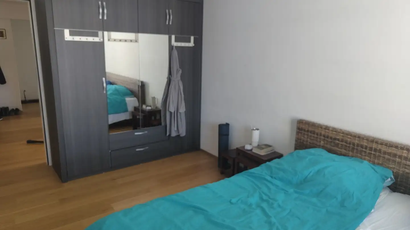 Chambre à louer - Heerenschürlistrasse 8, 8051 Zürich - Photo 2