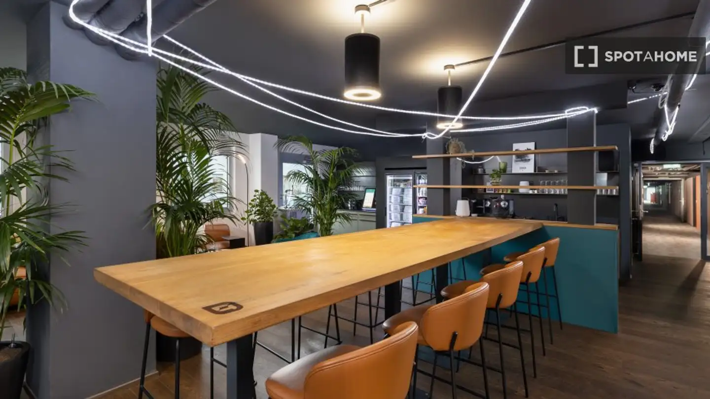 Studio à louer - 8048 Zürich