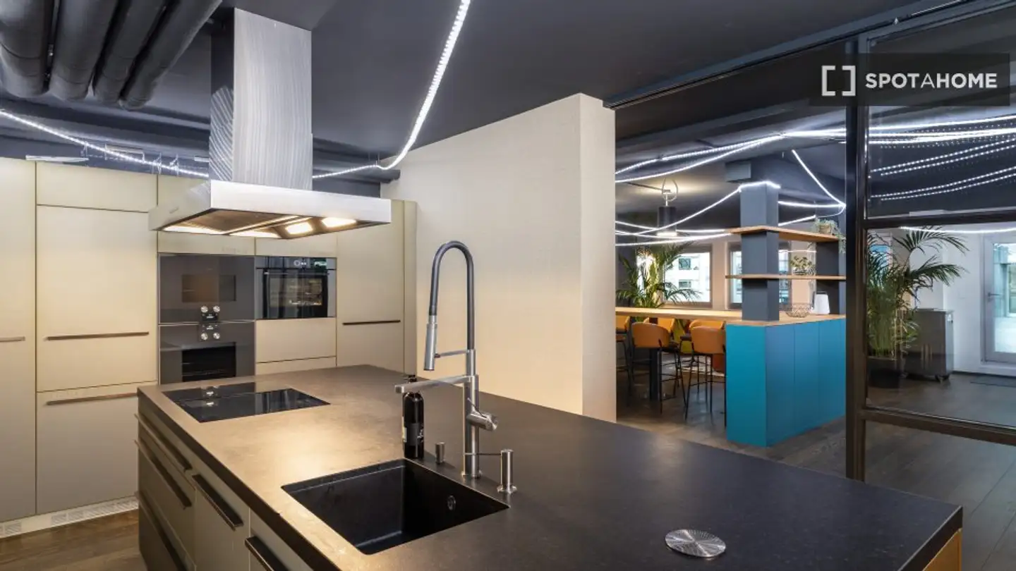 Studio à louer - 8048 Zürich - Photo 2