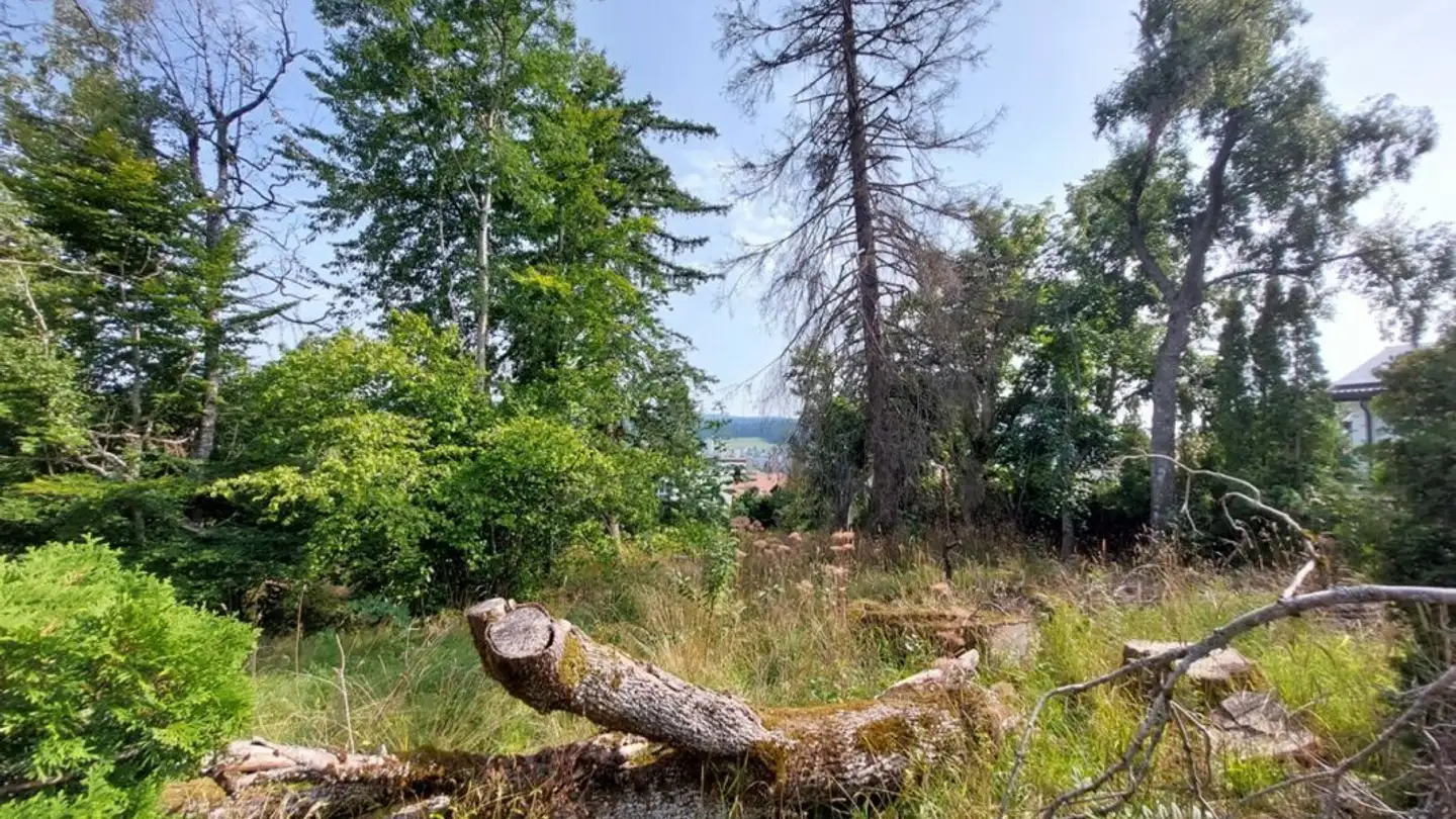 Terreno edificabile in vendita - 2300 La Chaux-de-Fonds - Photo 4