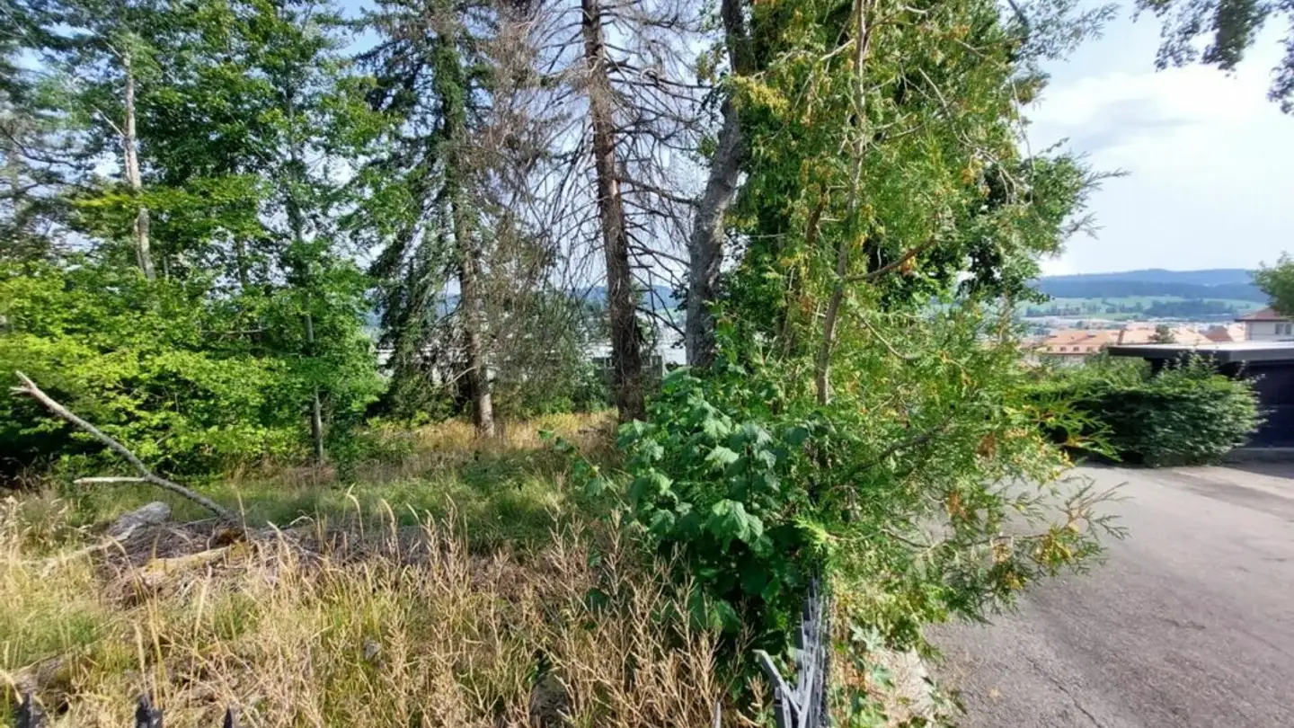 Terreno edificabile in vendita - 2300 La Chaux-de-Fonds - Photo 2