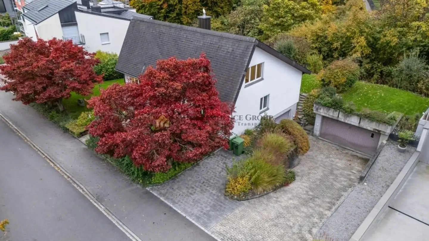 Single house for rent - 8832 Wollerau