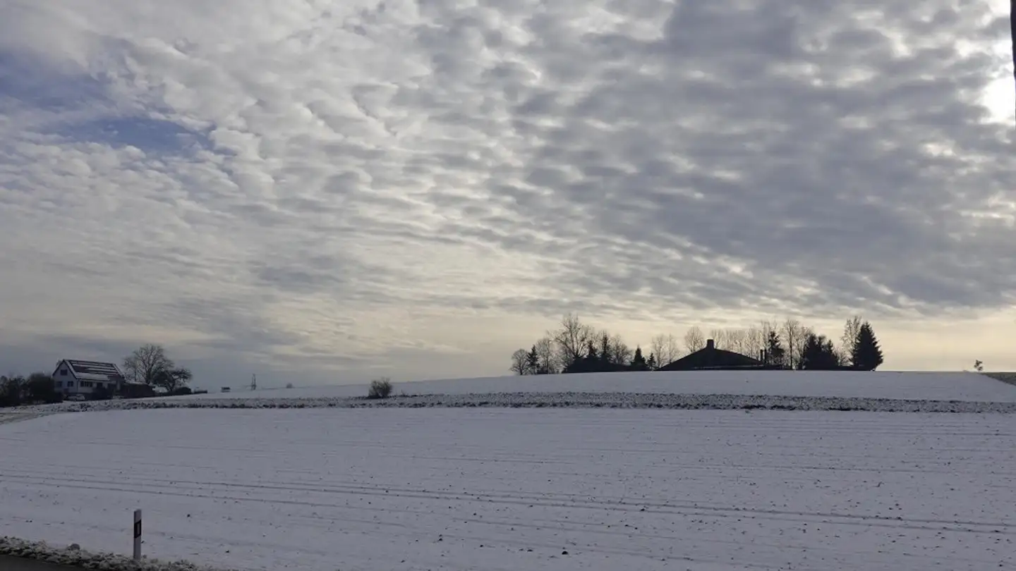 Appartamento in affitto - Seuzachstrasse 85, 8412 Riet (Neftenbach) - Foto 2