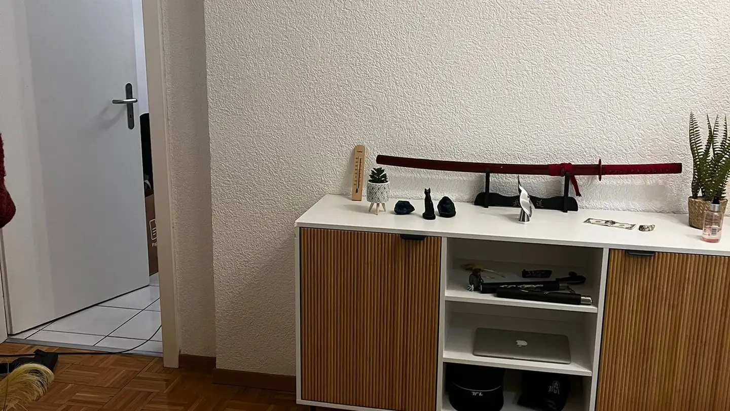 Appartamento in affitto - Avenue De La Gare 10, 1920 Martigny - Foto 2