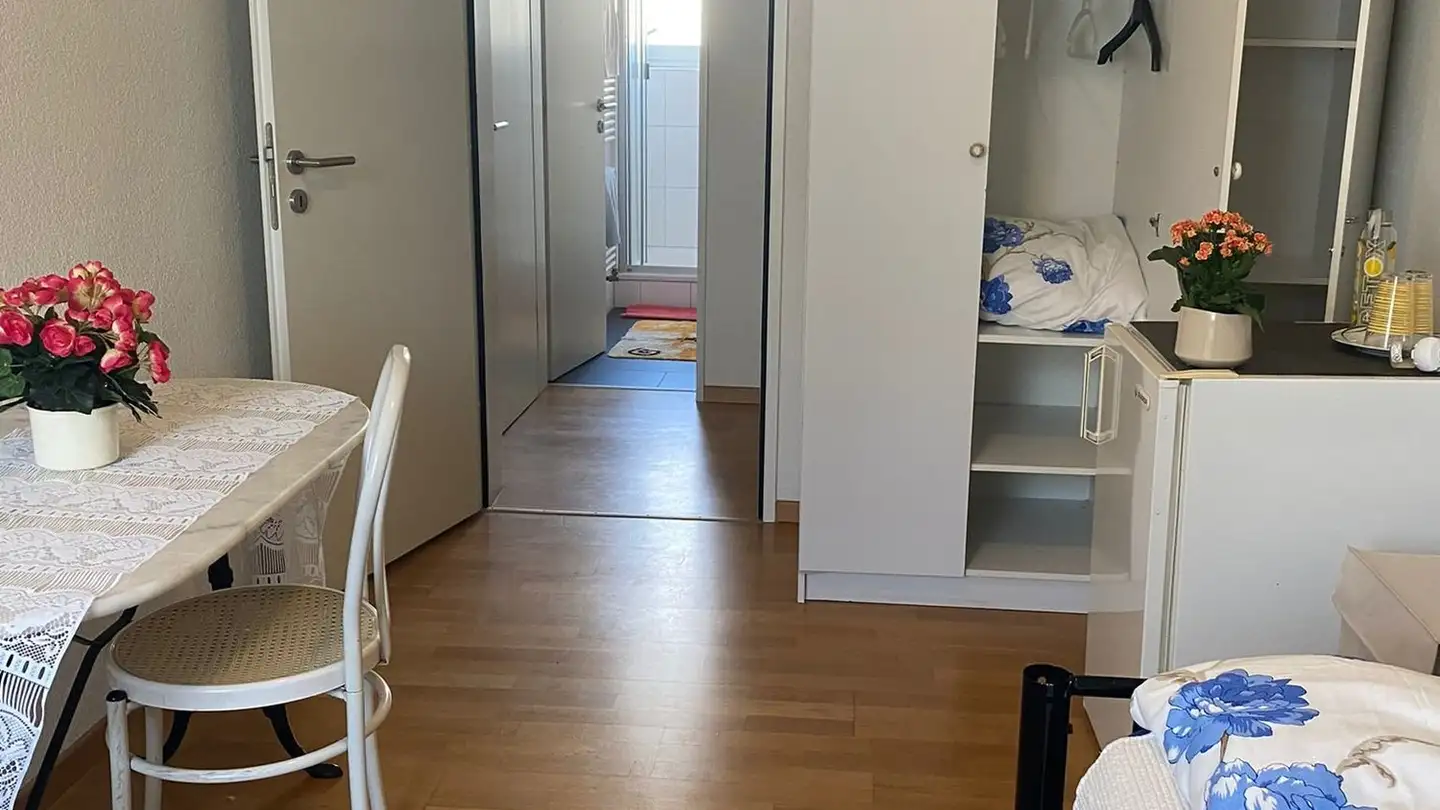 Single room for rent - 8910 Affoltern am Albis