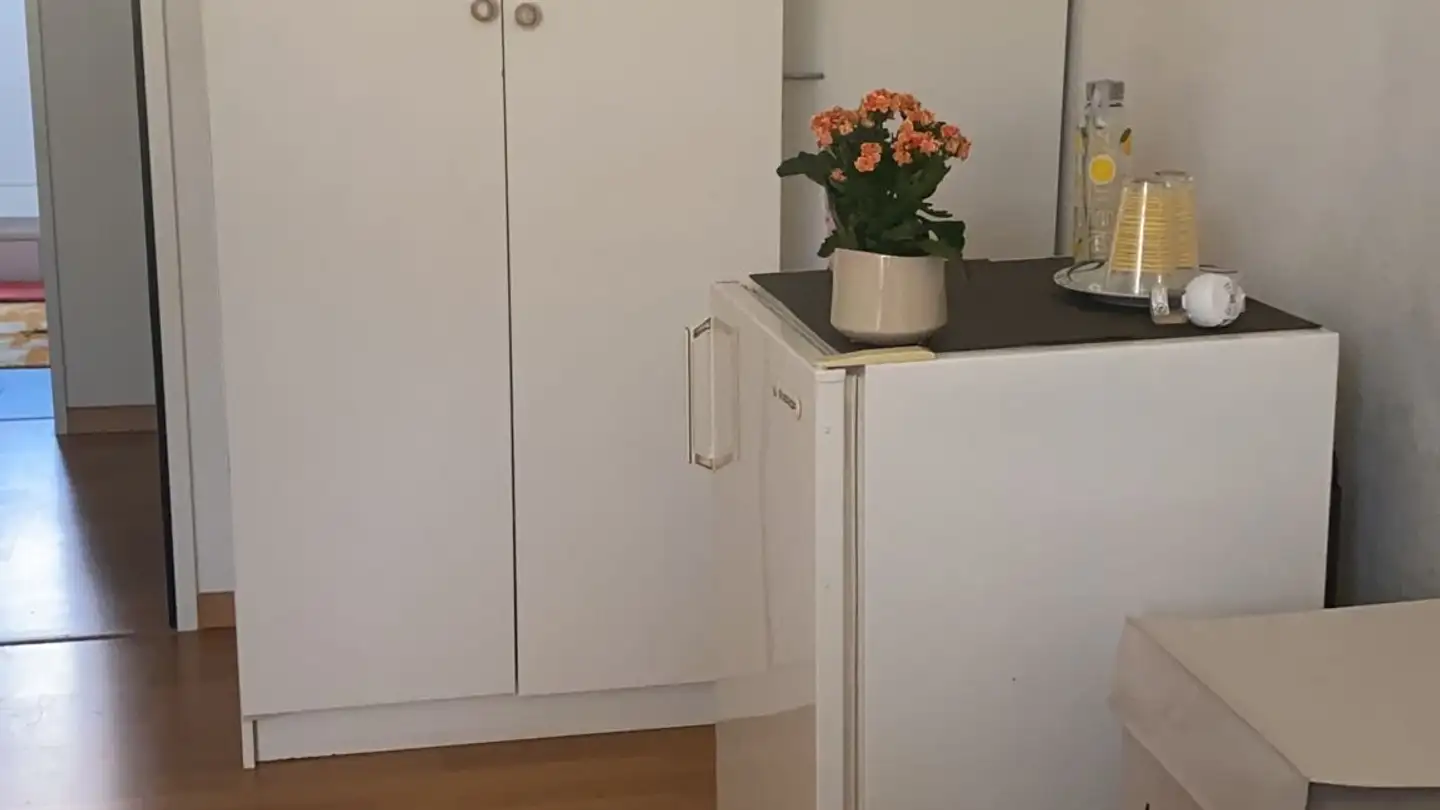 Single room for rent - 8910 Affoltern am Albis - Photo 2