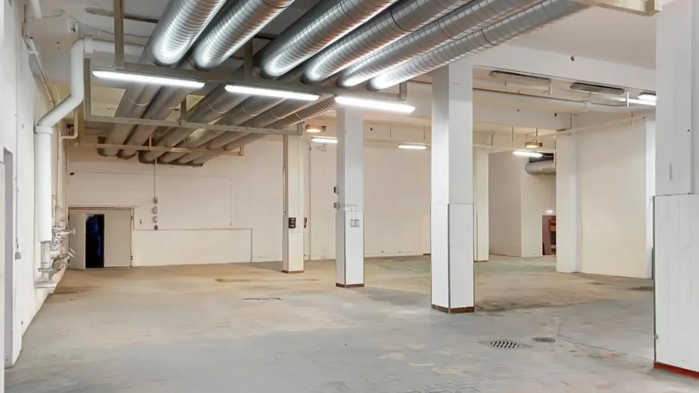 Industrieimmobilie mieten - Industriestrasse 6, 9220 Bischofszell