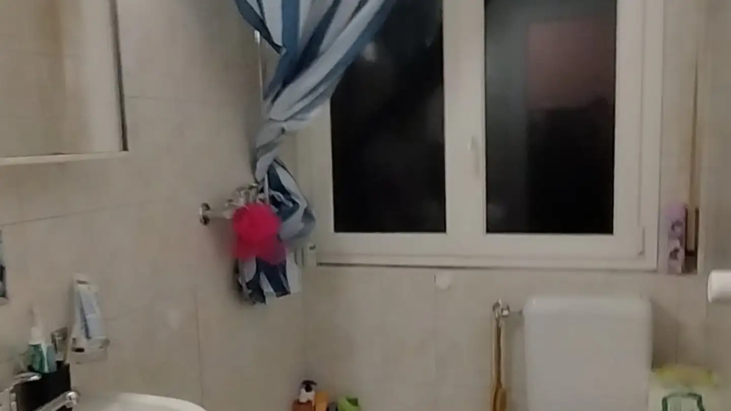 Appartement à louer - Rue Des Cèdres 2, 1950 Sion - Photo 2