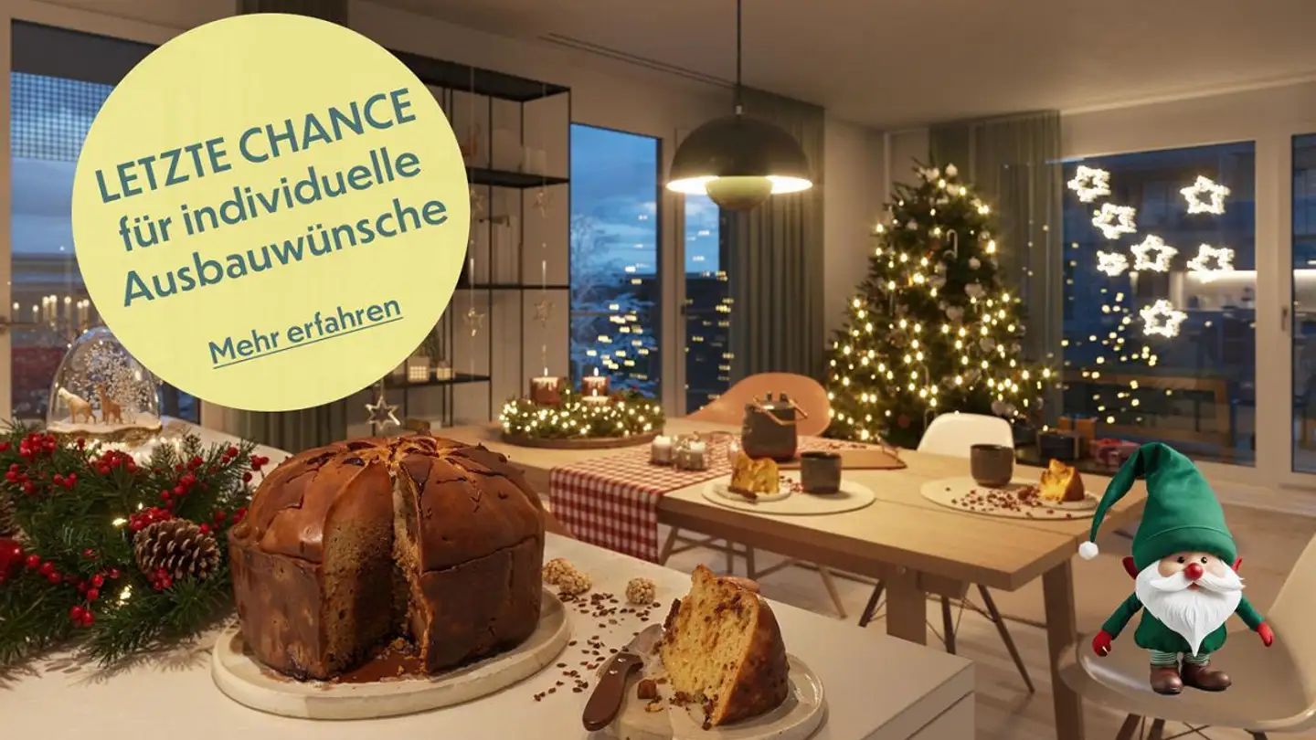 Appartement à vendre - 8200 Schaffhausen