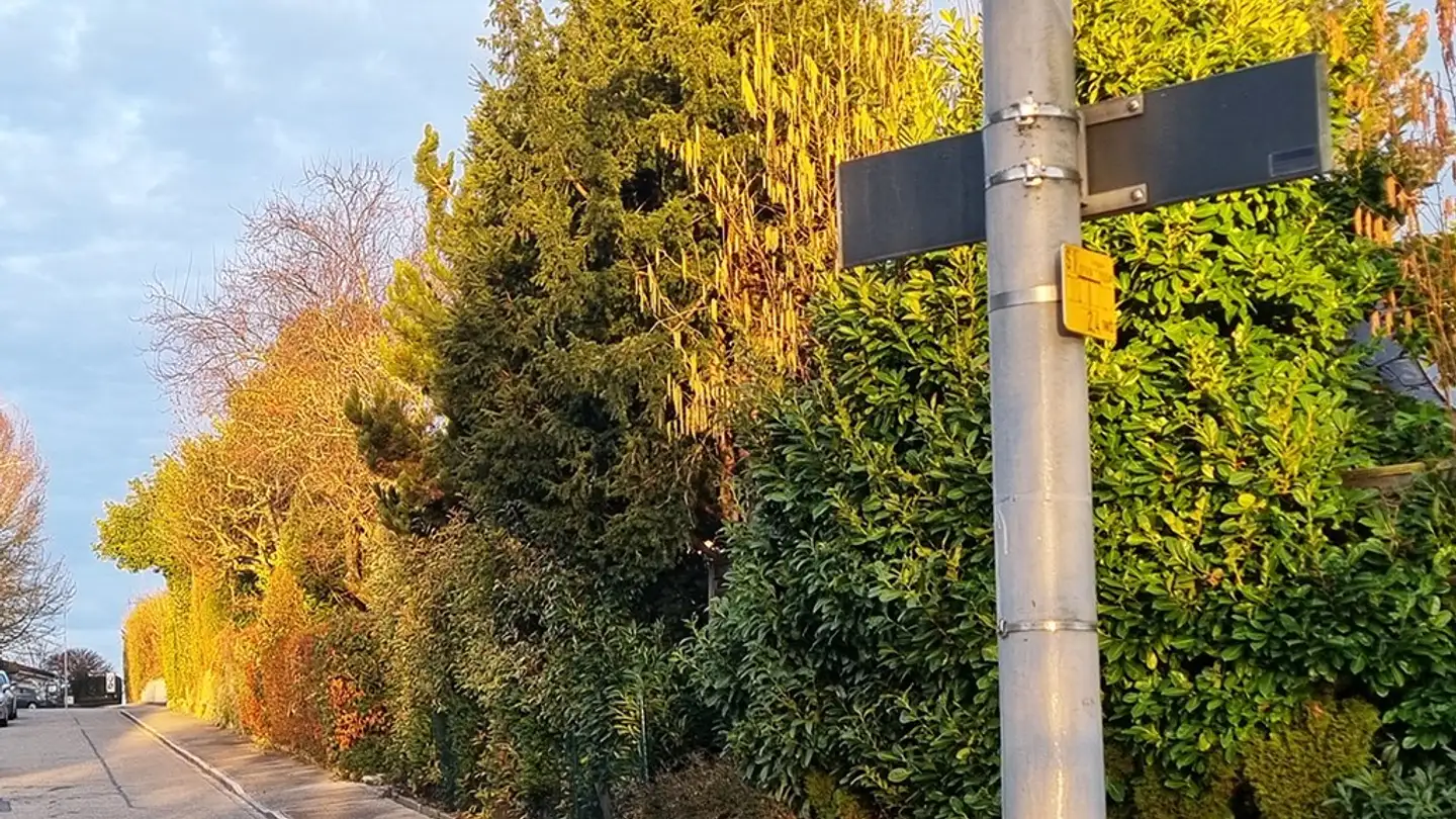 Single house for sale - 4102 Binningen - Photo 3