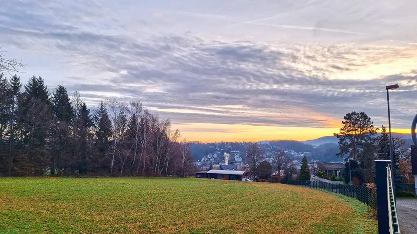 Single house for sale - 4102 Binningen