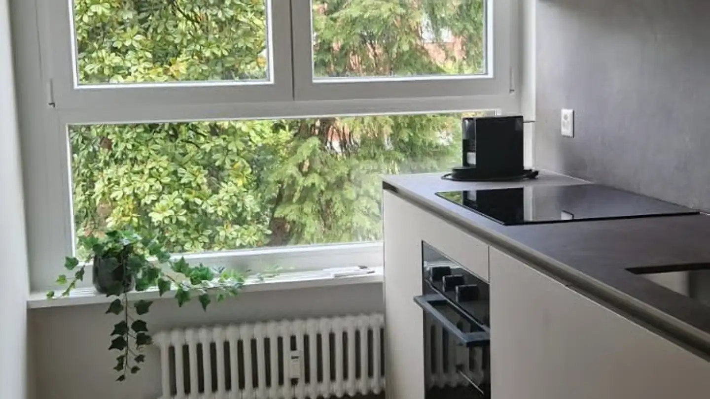 Wohnung mieten - 6900 Lugano - Foto 3